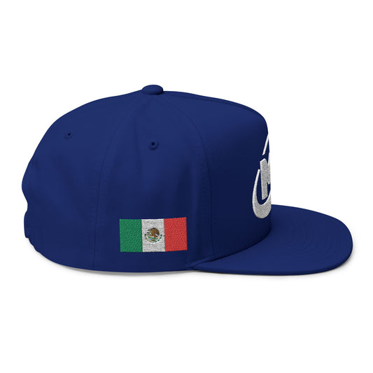 Flat Bill Cap - Embroidered MX Disc Golf withe logo + Mexican flag